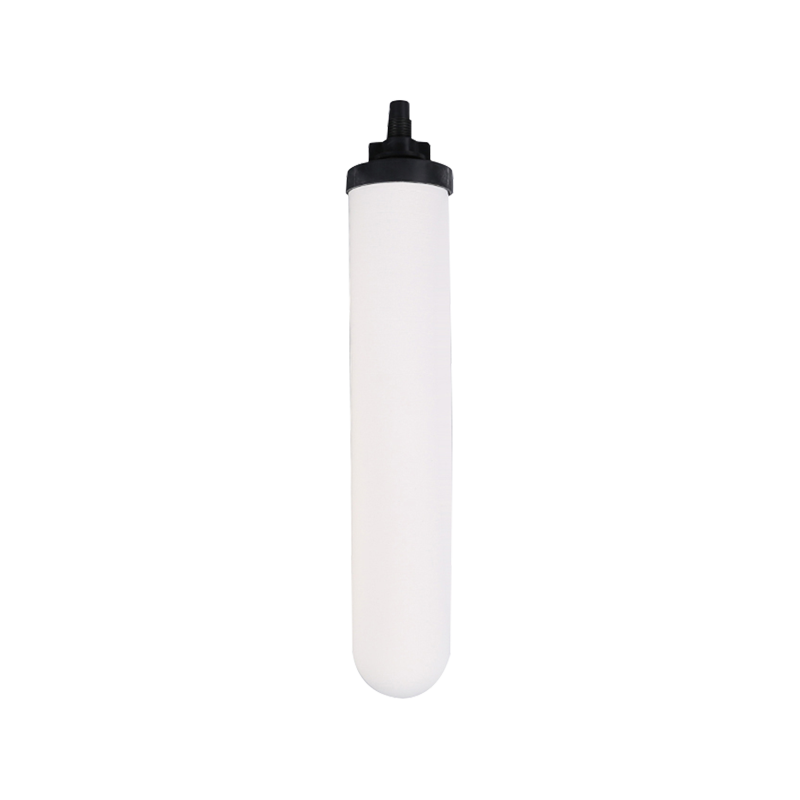 Kartrid filter air RH-TC10A1